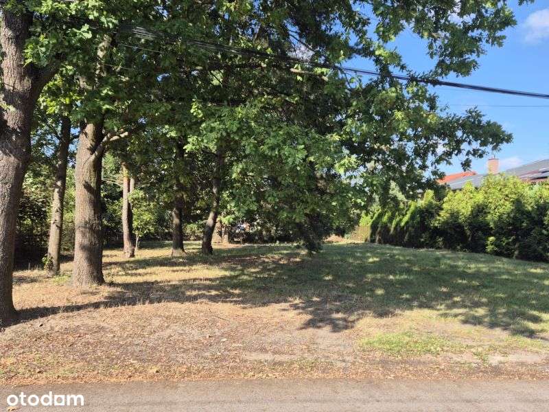 Działka 838 m², Chotomów, ul. Niecała / Legionowo Przystanek - Pełny obrazek: 5/6