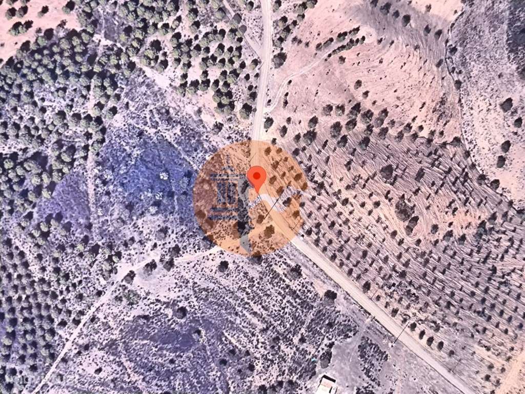 TERRENO RÚSTICO COM 8.880 M² - PLANO - PRÓXIMO À ELETRICIDADE - ODE... - Grande imagem: 4/18