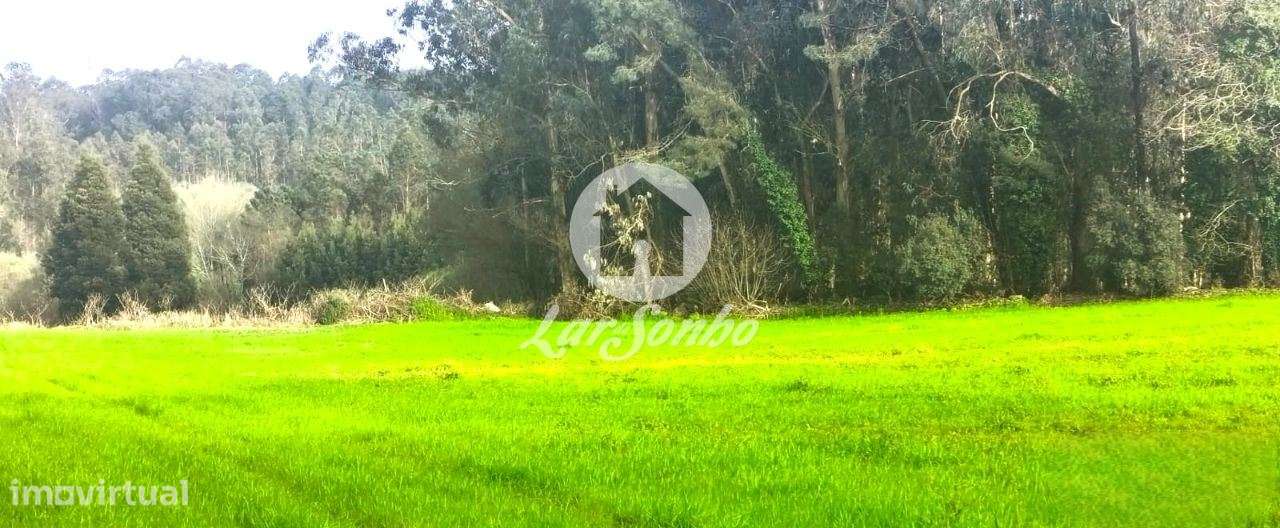 Excelente terreno em Esposende para Construção de Moradias-5