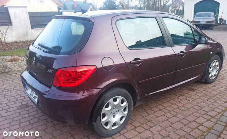 Peugeot 307 1.6 Premium - 3