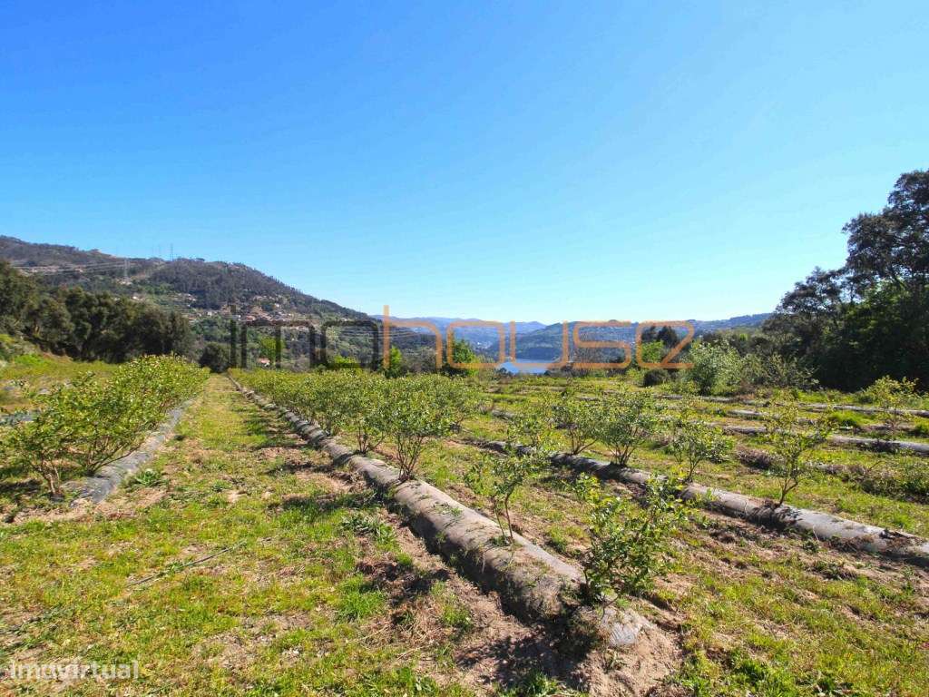 Quinta de 5.6 ha - Varias edificações, ribeiro e vista Douro-31