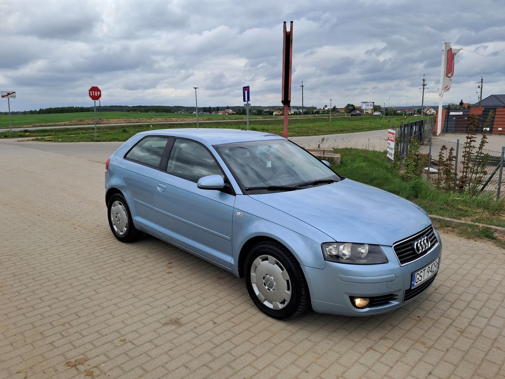 Audi A3 8P 1.6 Ambition 2006