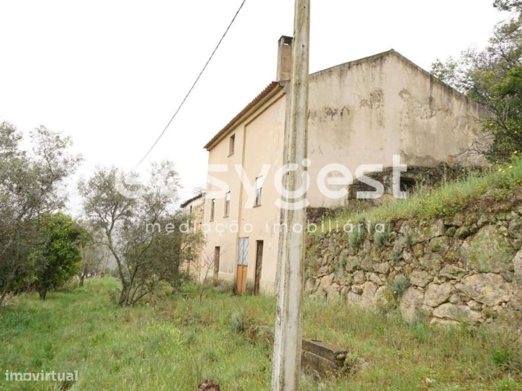 Quintinha com aproximadamente 4000 m2 em Gonçalo, Guarda - Grande imagem: 2/28