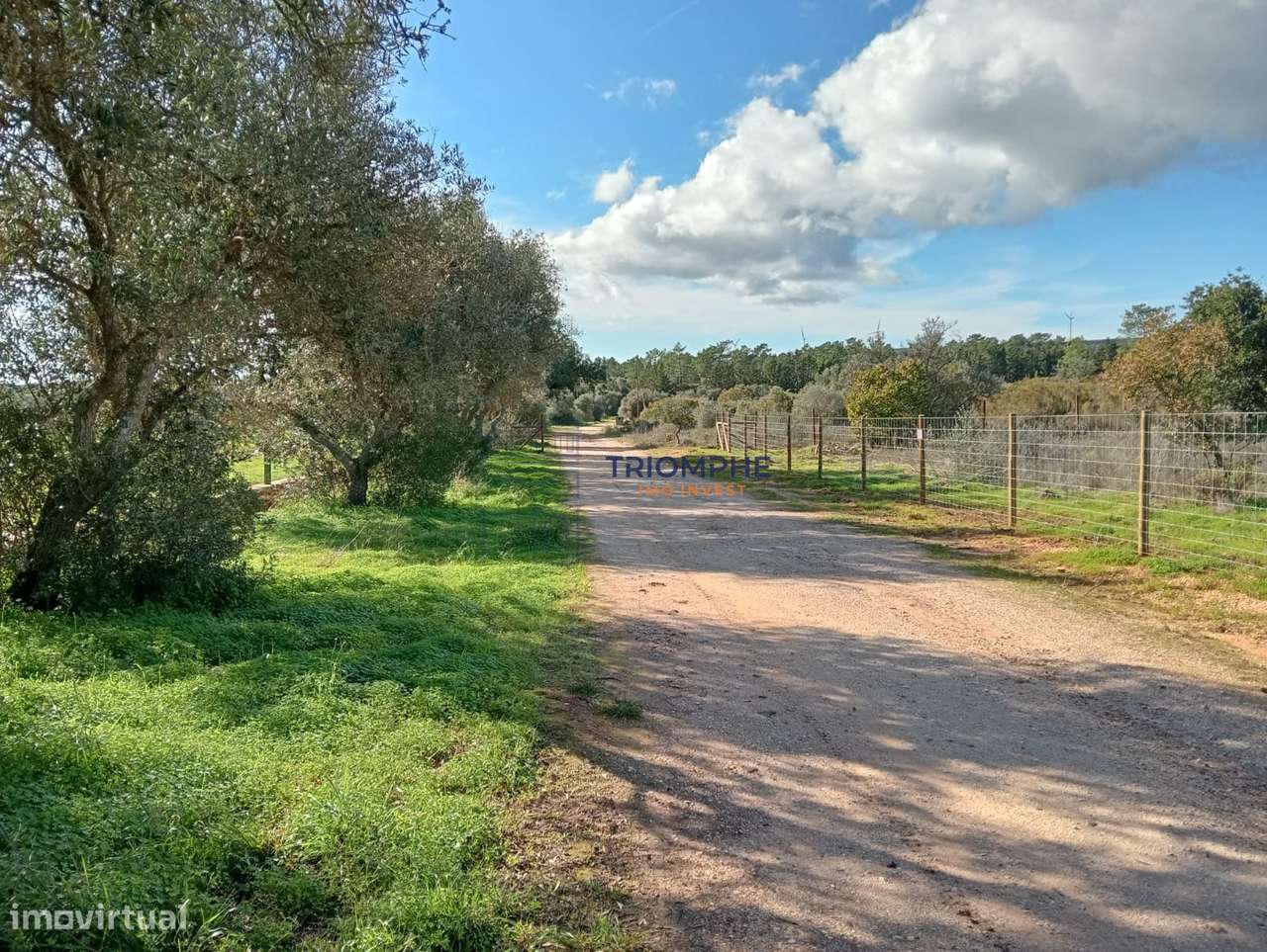 Terreno Rústico 25.000 m²  Lagos - Grande imagem: 2/9