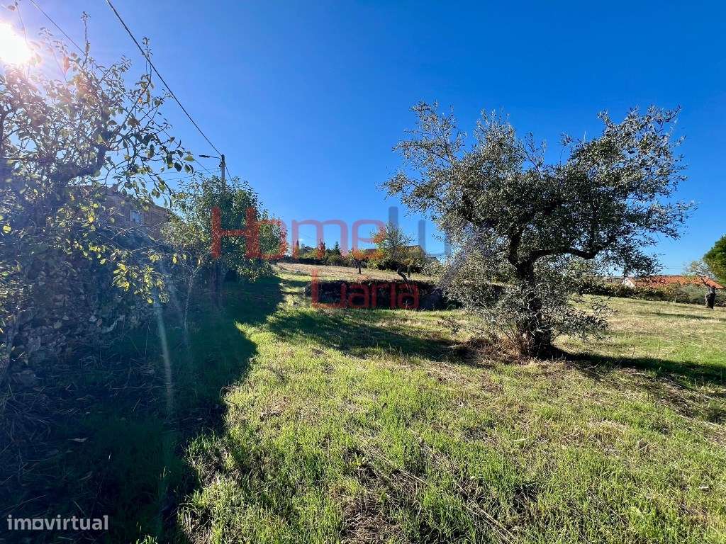 Terreno Urbanizável em Carviçais - Grande imagem: 5/22