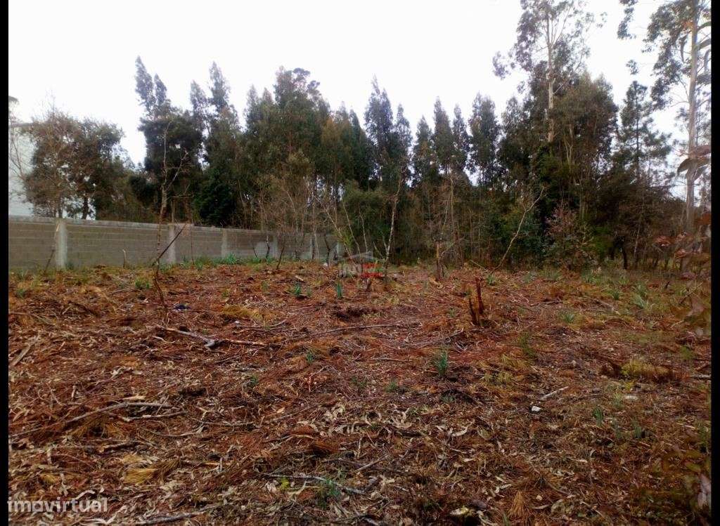 Terreno em fátima - Grande imagem: 4/4