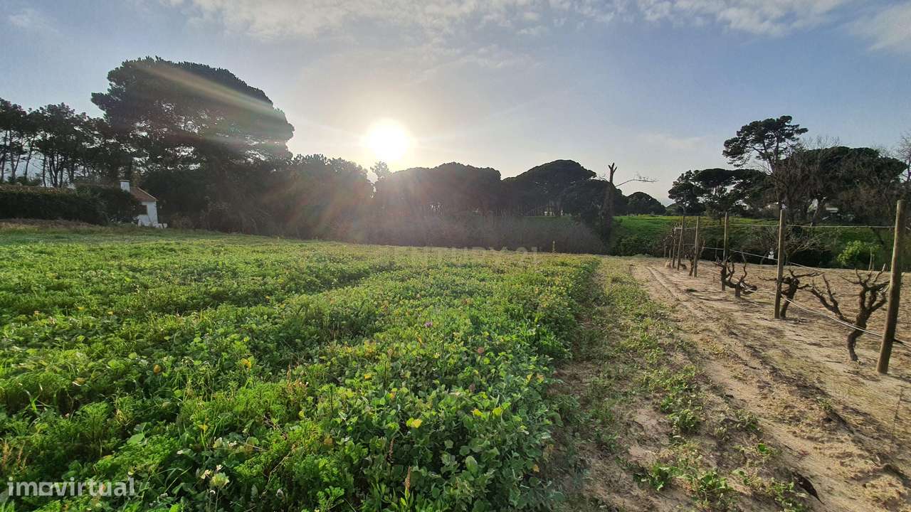 Terreno no meco para apoio agricola ou empreendimento turistico.-6