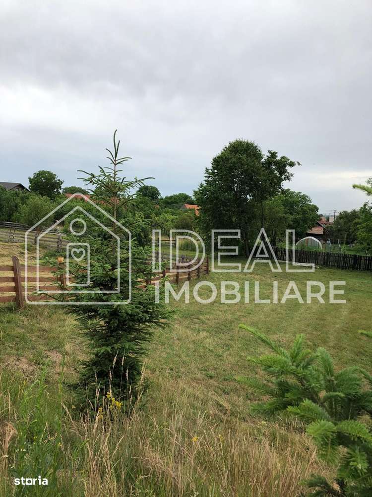 Teren intravilan | 1829mp | Cârțișoara-5