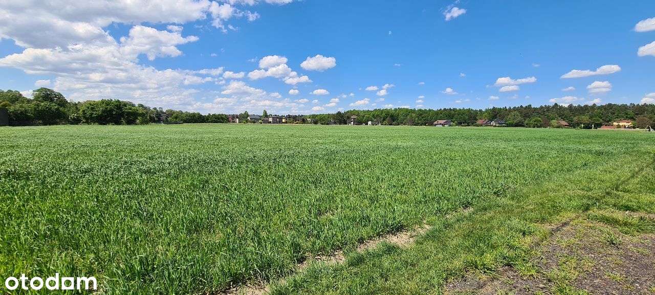 Orzesze działka idealna pod inwestycję - Pełny obrazek: 4/4