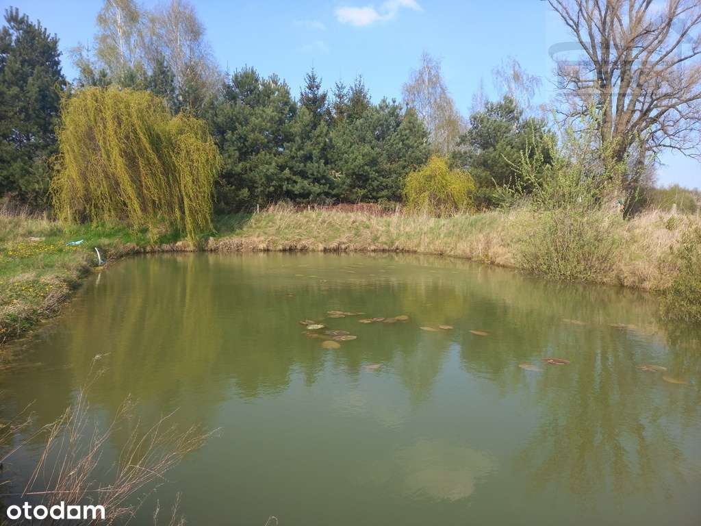 Działka-rolno budowlana Pniewy 15100 m² - View 3