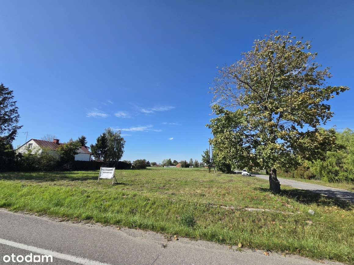 Działka inwestycyjna 1800 m² – Model, gm. Pacyna - Pełny obrazek: 2/6