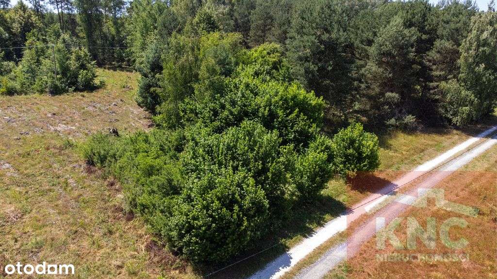 działka na sprzedaż - Pełny obrazek: 4/5