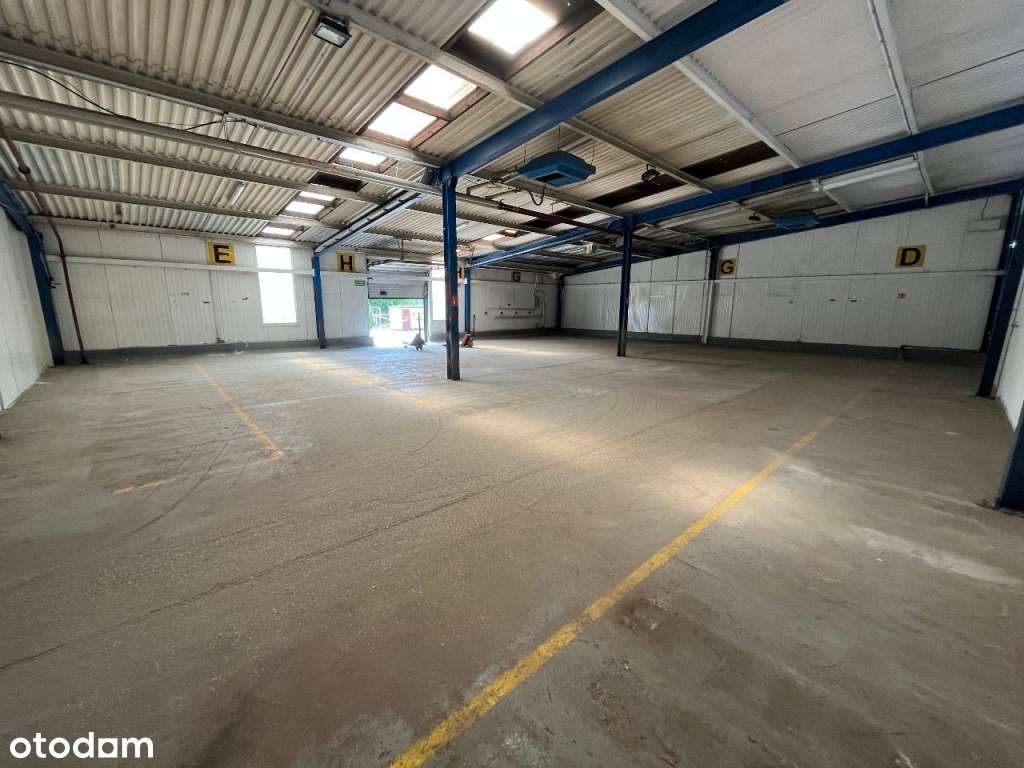 Wynajmę powierzchnie magazynowo-produkcjyne - Pełny obrazek: 2/7