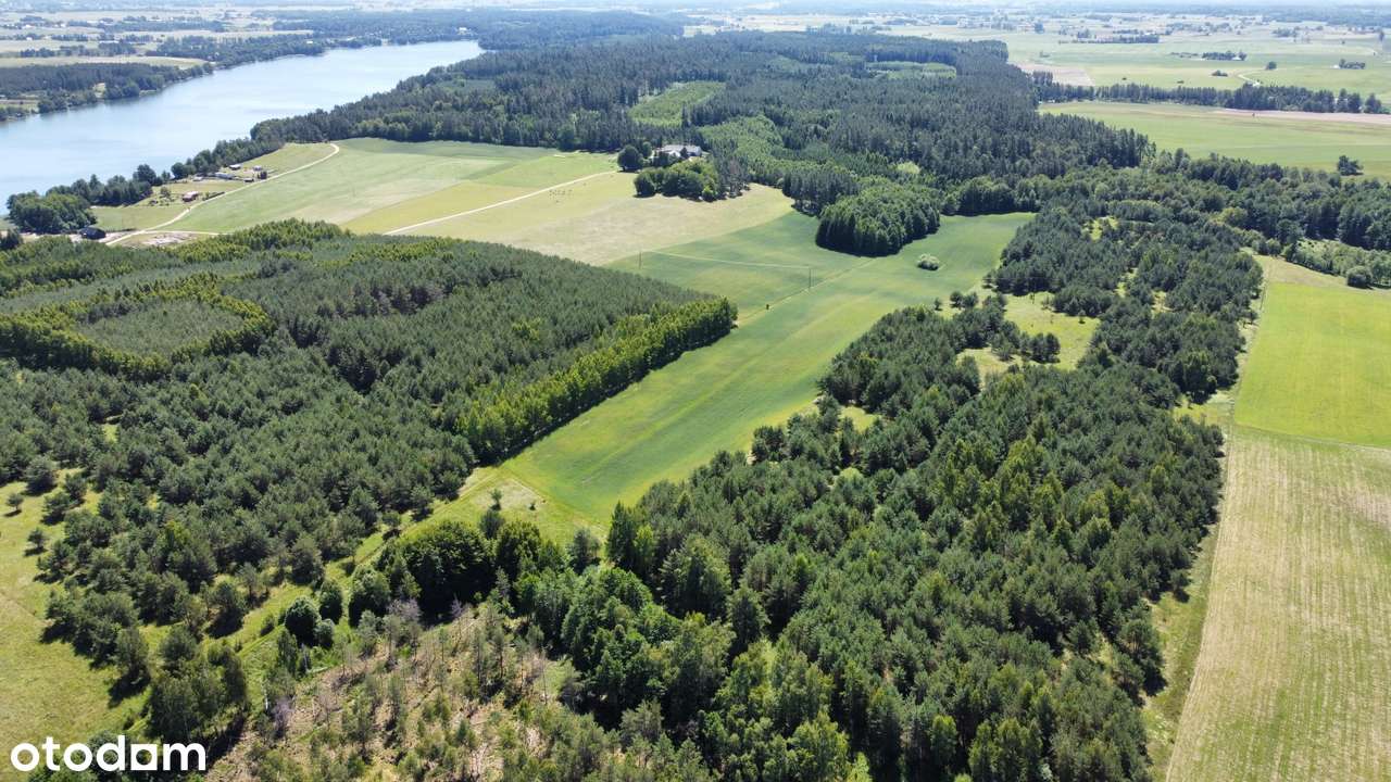 Filipów - grunt rolny na sprzedaż - Pełny obrazek: 5/6