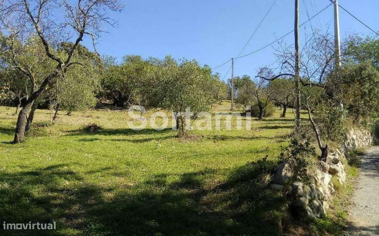 Terreno Rústico  Venda em São Brás de Alportel,São Brás de Alportel - Grande imagem: 2/5