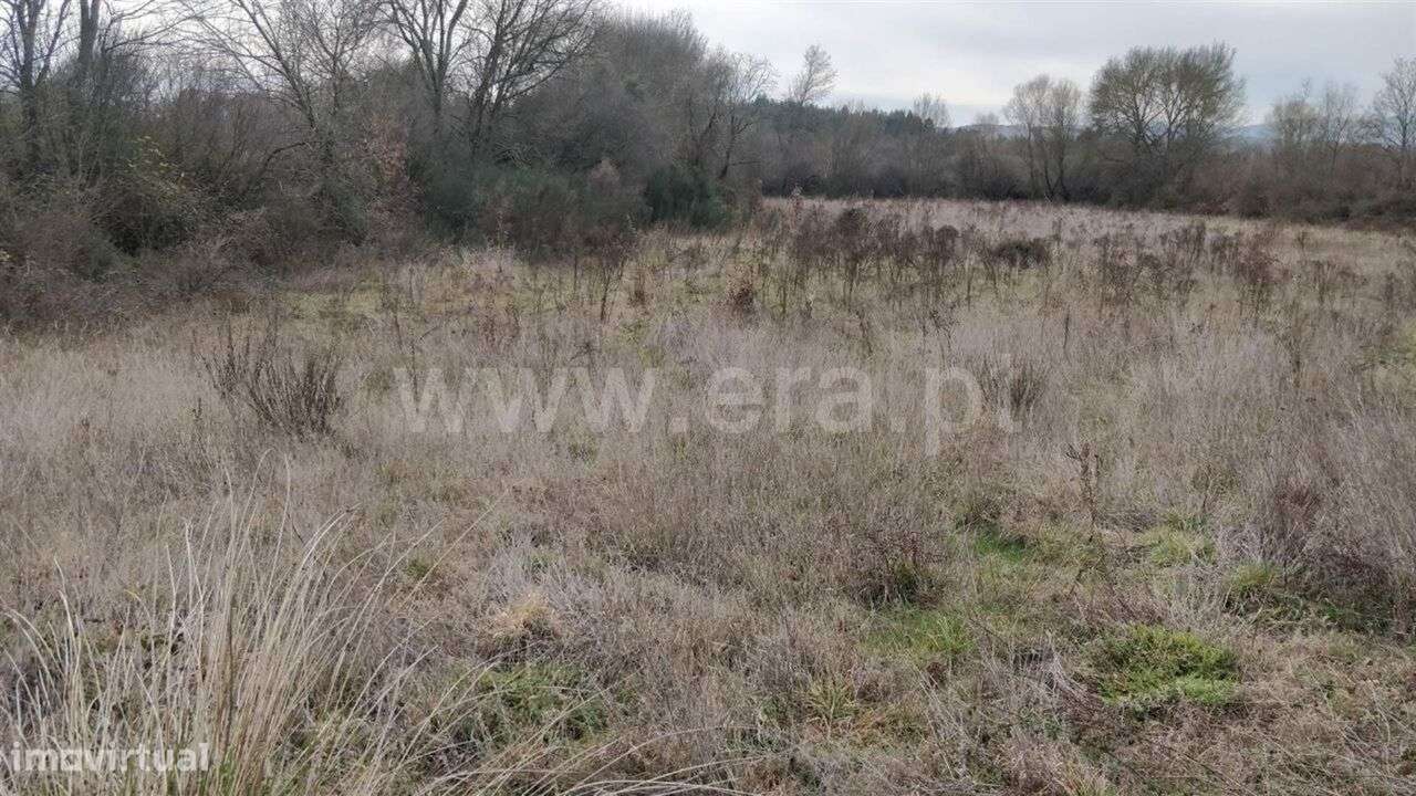 Terreno Rústico / Fundão, Vales Pêro Viseu - Grande imagem: 5/7