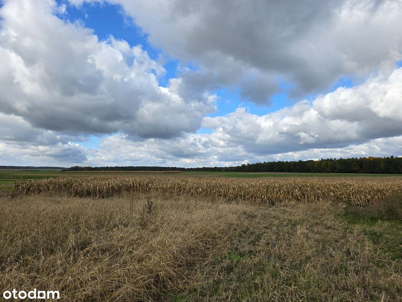 Działka budowlana MN_niezakłócony widok na las_światłowód-2
