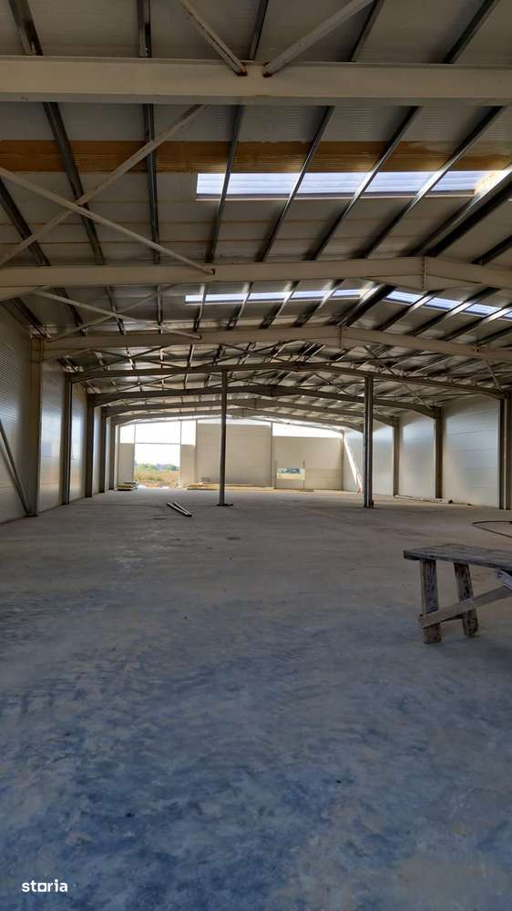 HALA NOUA depozitare si spatiu de birouri RUDENI - Imagine principală: 3/14