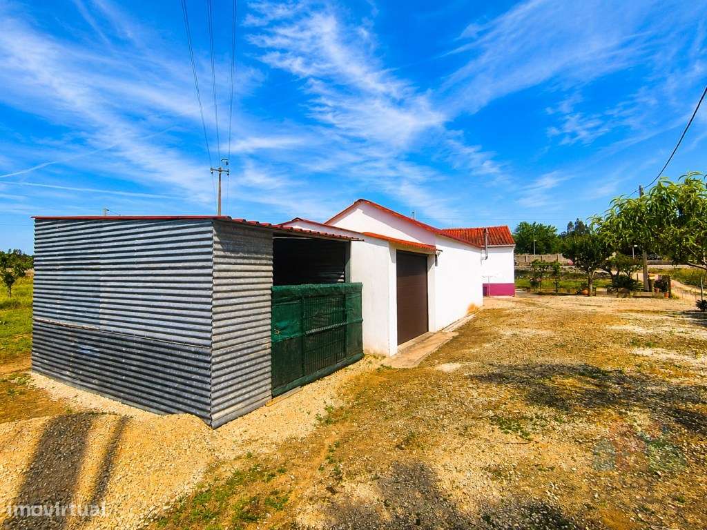 Quinta com 8280 m2 com acesso privado a rio em Tomar-3
