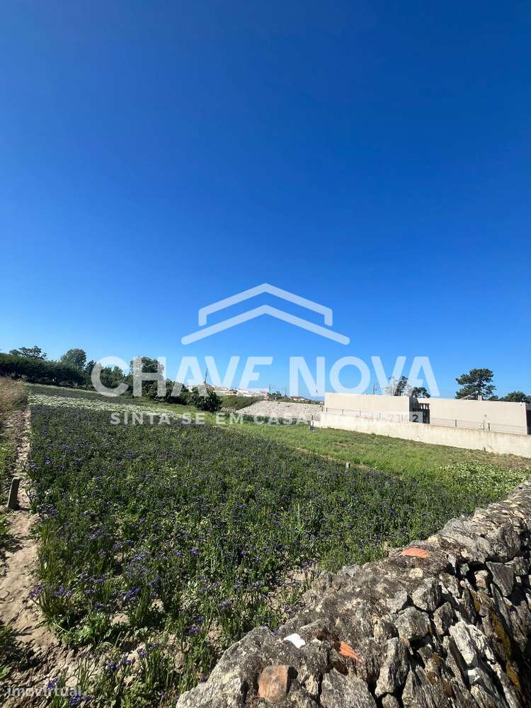 Terreno com 3 Frentes | 460m² | Madalena – Próximo à Praia SD/04336/CO - Grande imagem: 5/11