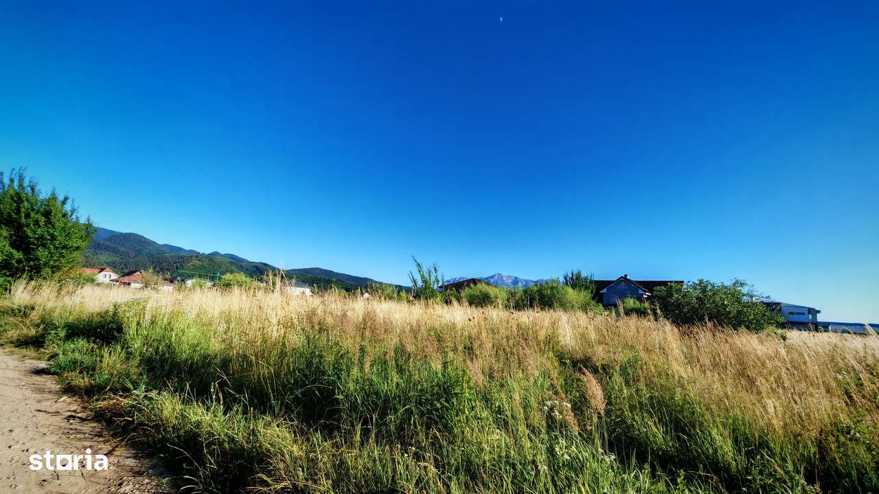 Teren intravilan 1000 mp pt construcții case Cristian str Nisipului-0