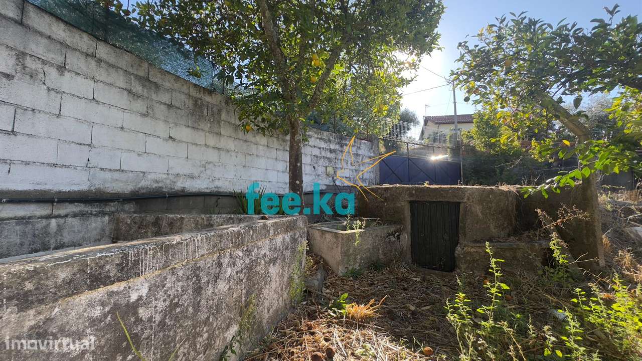 Quintinha T1 em Palvarinho-1