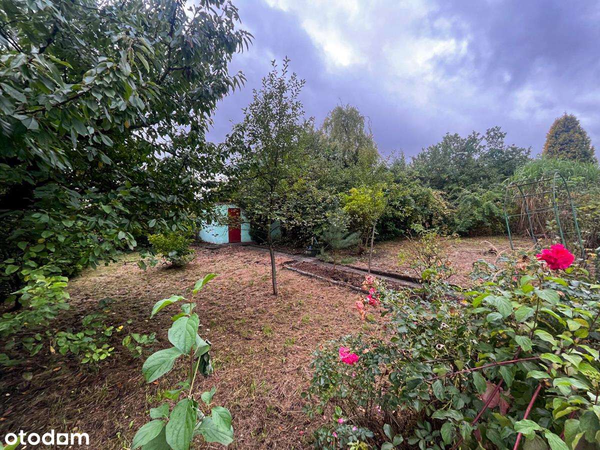 Fajna działka za fajną cenę :) - Pełny obrazek: 1/11