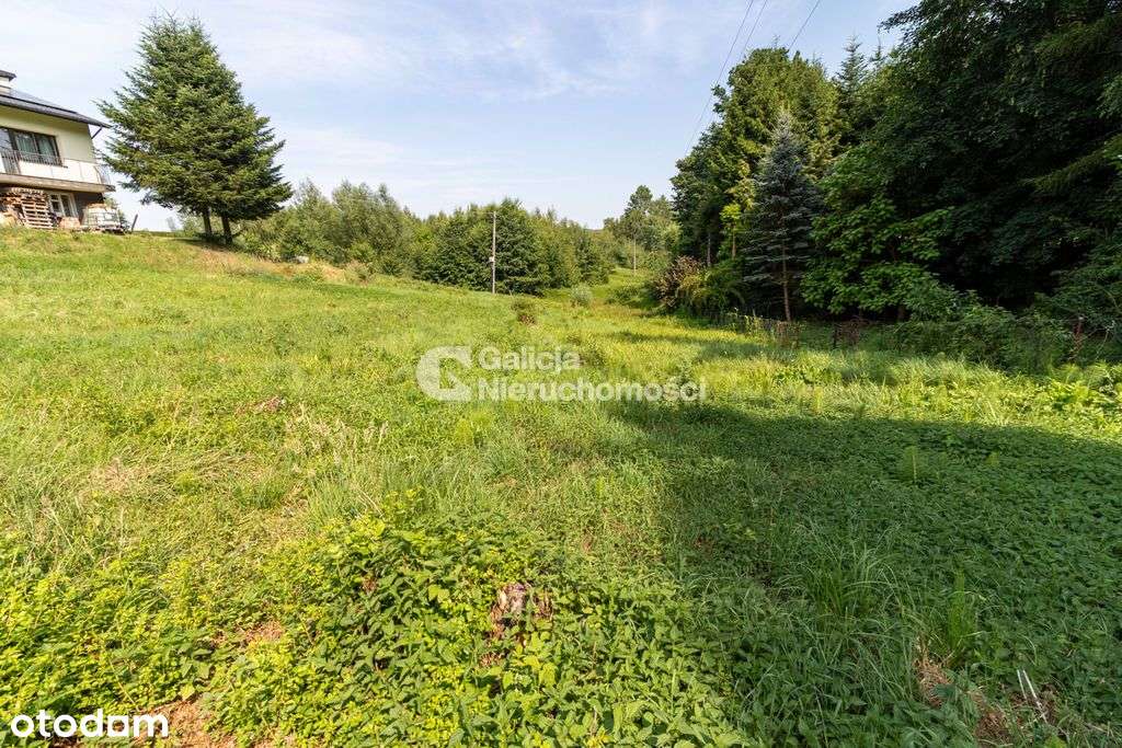 Dziłaka 19 ar w Chmielniku - Pełny obrazek: 5/7