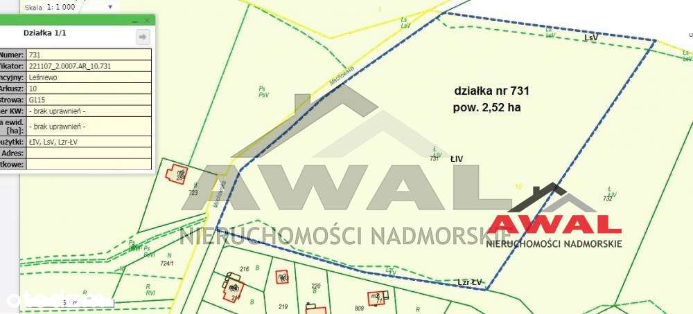 Duża działka rolna w Leśniewie blisko lasu-9