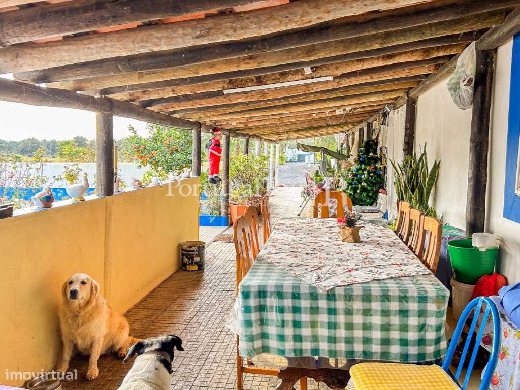 Quinta de 5 hectares, com 2 moradias e piscina-26