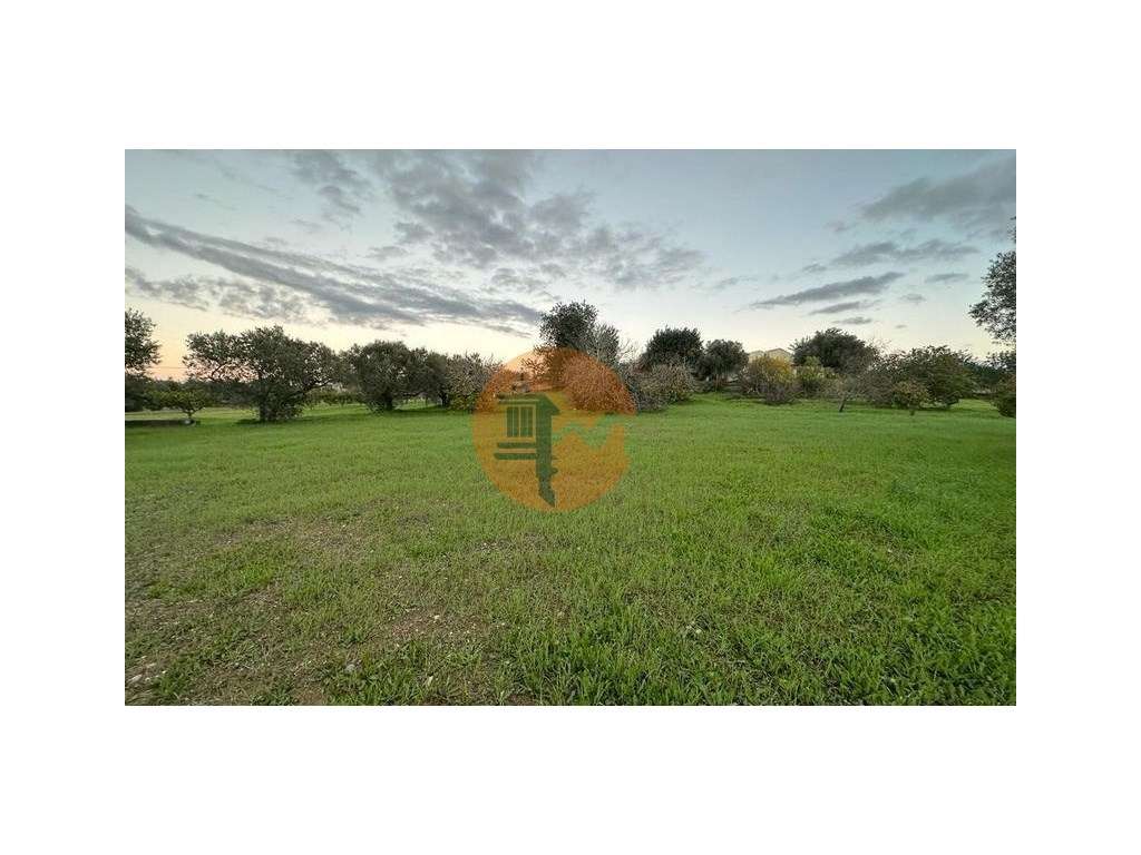 Terreno Rustico - Grande imagem: 2/12