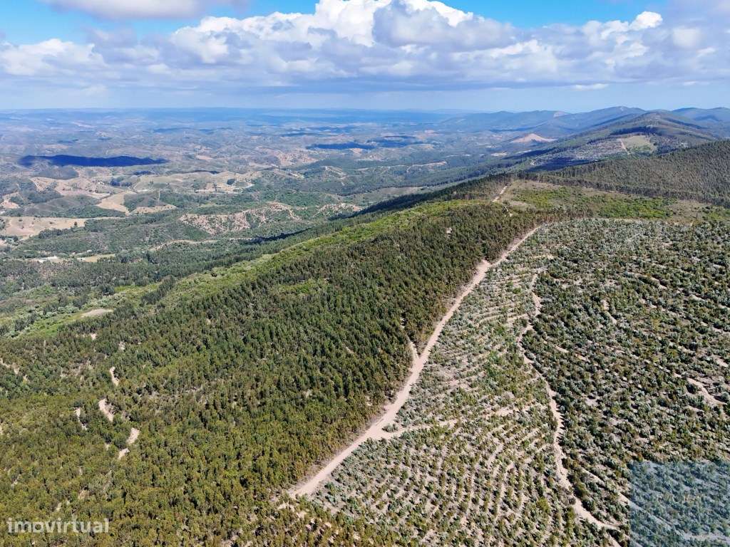 Terreno em São Teotónio, Odemira-9