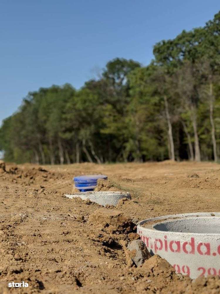 Lot de teren, padurea Snagov - Ciolpani - mega reduceri de pret!-5