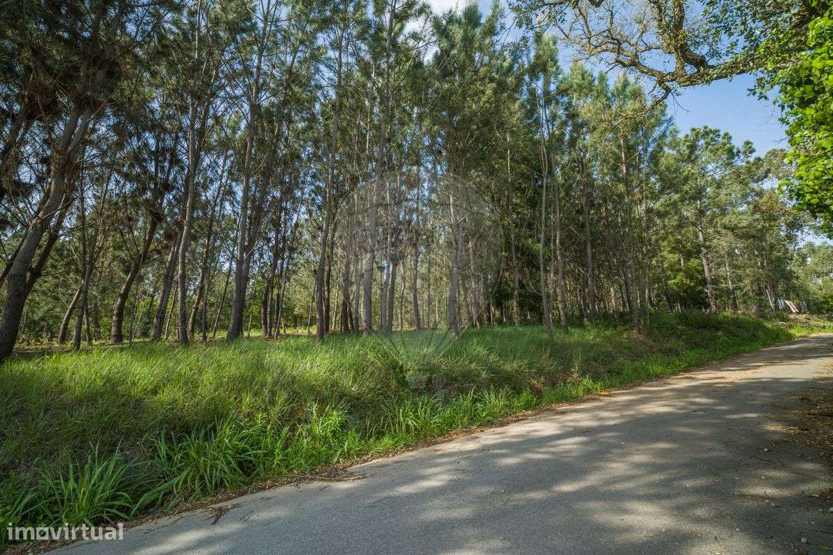 Terreno  para venda - Grande imagem: 5/8