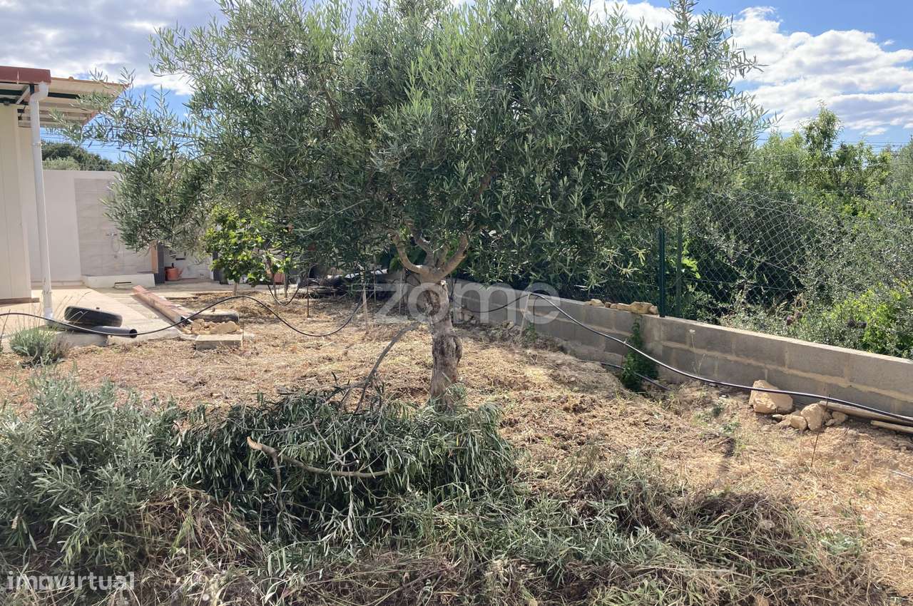 Terreno com Casa Modular - Grande imagem: 5/19