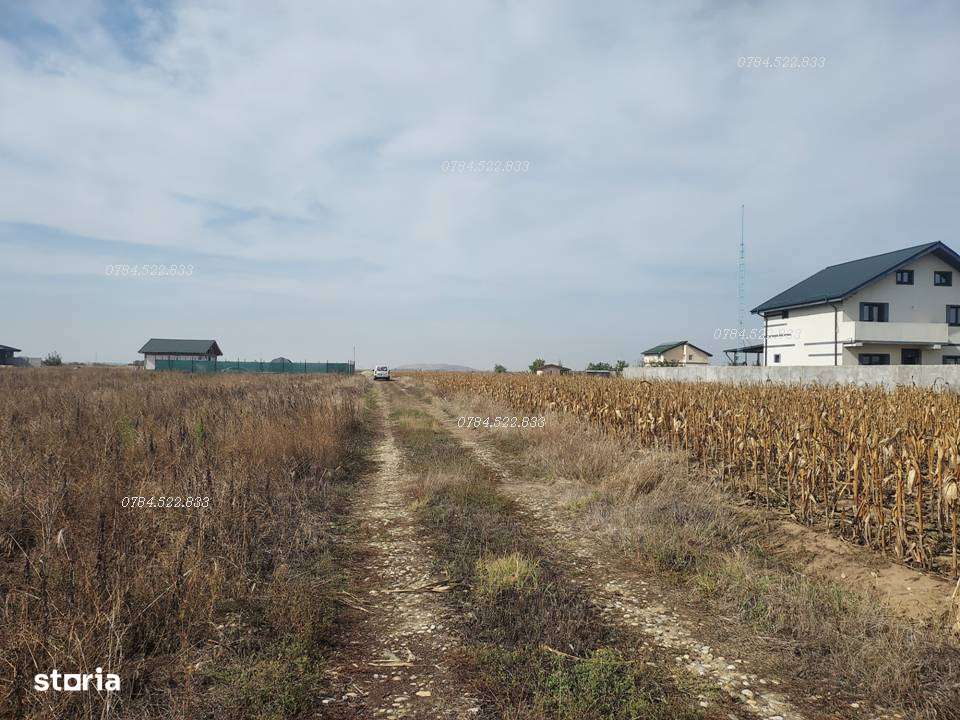 Teren cu dubla deschidere gaz+curent Comuna Berceni, IF-3