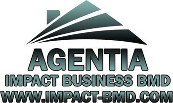 Impact Business BMD Siglă