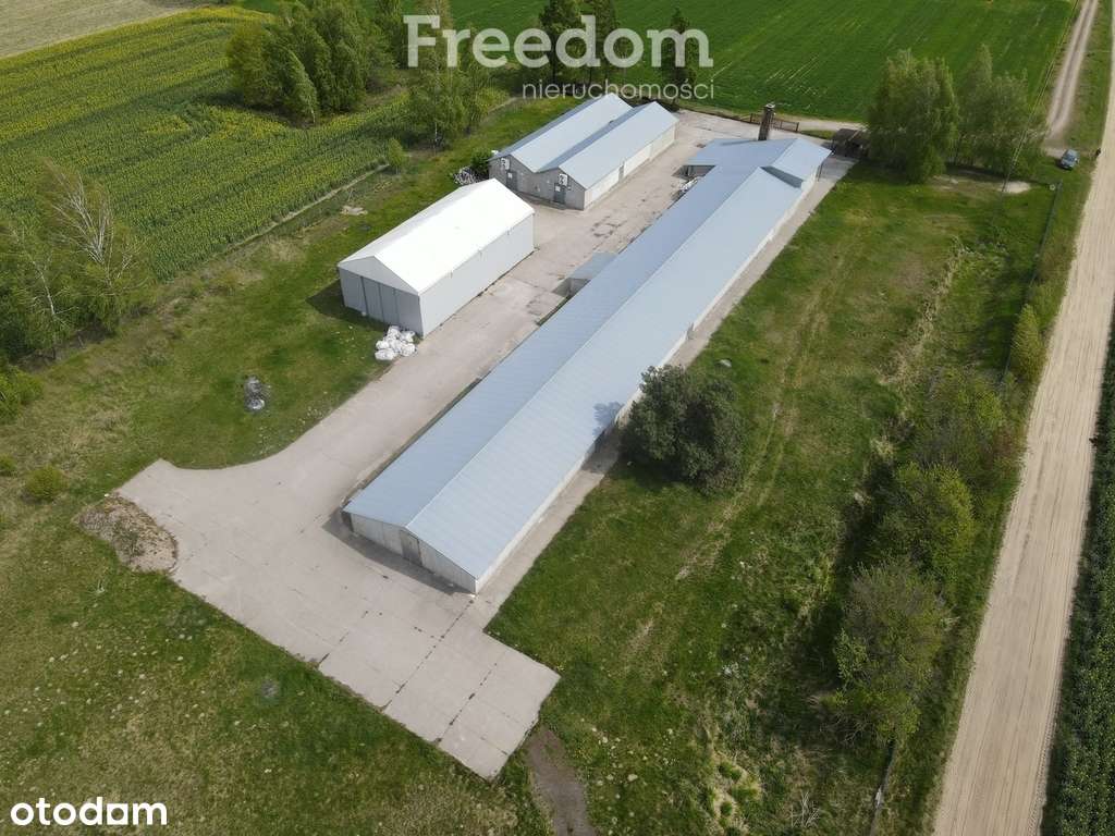 Kompleks budynków komercyjnych - działka 1,1872 ha - Pełny obrazek: 4/9