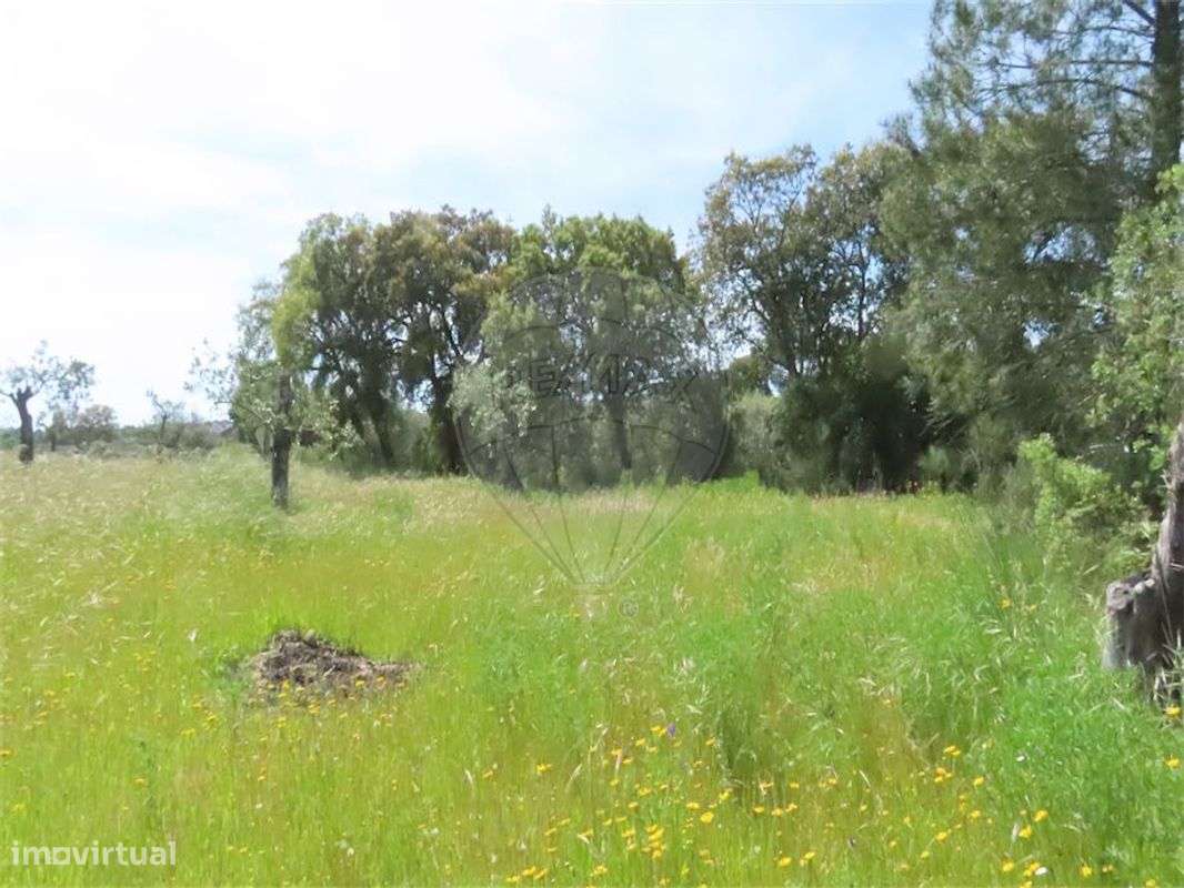 Quinta  para venda - Grande imagem: 2/12