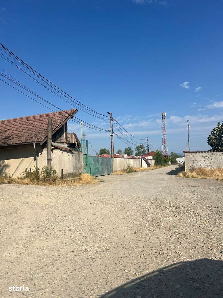 Halǎ industrialǎ + platformǎ betonatǎ, zona Sud - Imagine principală: 5/14