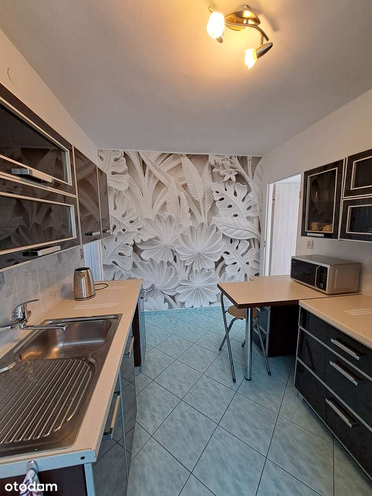 Włodowice Dom wolnostojący  1,65ha w tym las - Pełny obrazek: 5/14