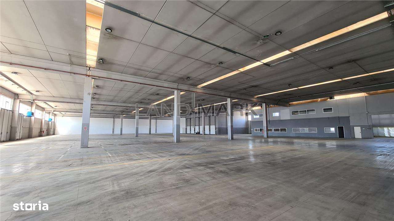 Hala industriala Timisoara, 2500 - 7500 mp , Calea Sagului - Imagine principală: 4/11