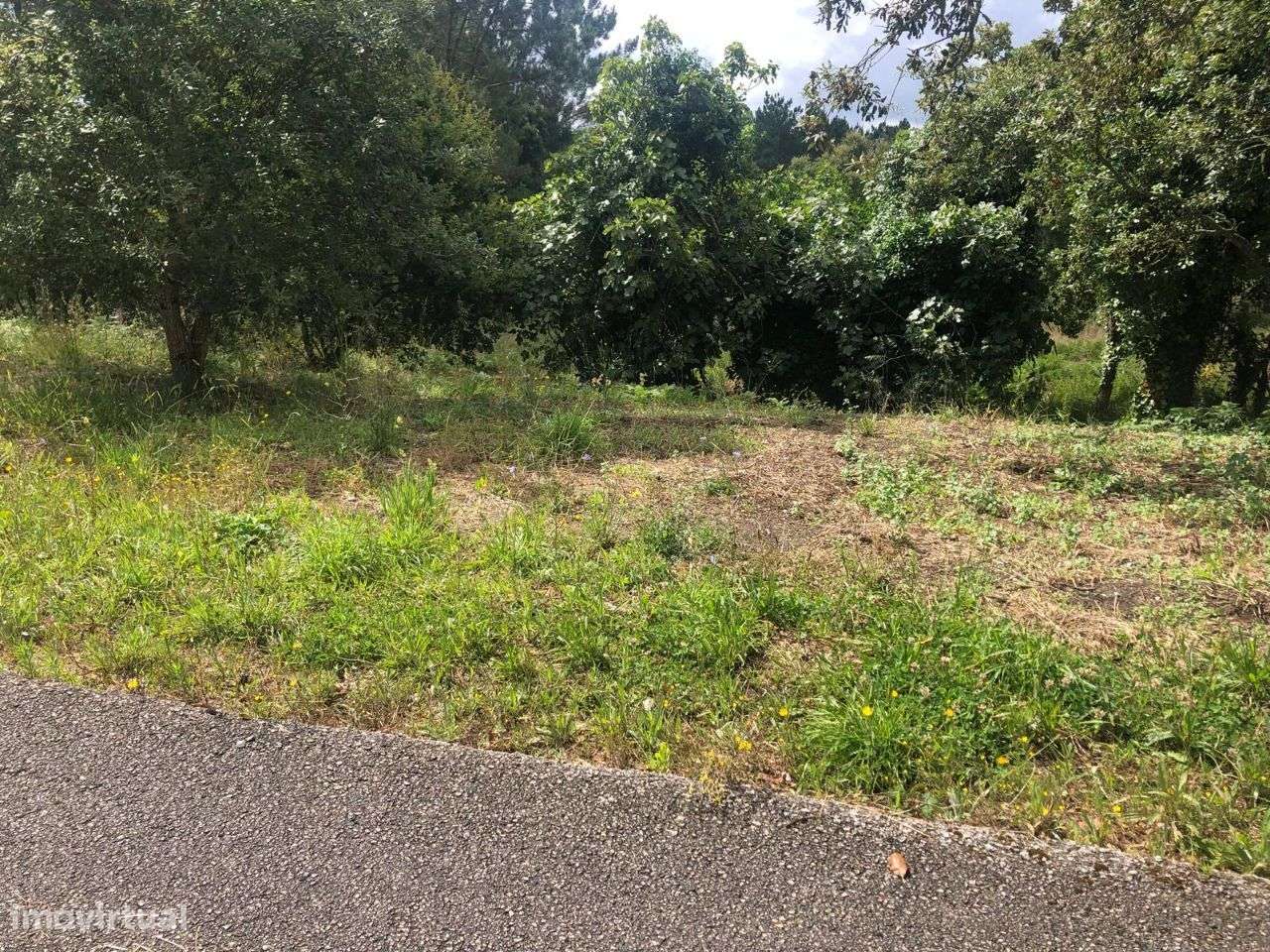 Terreno urbanizável em Ferraria de Pataias-9