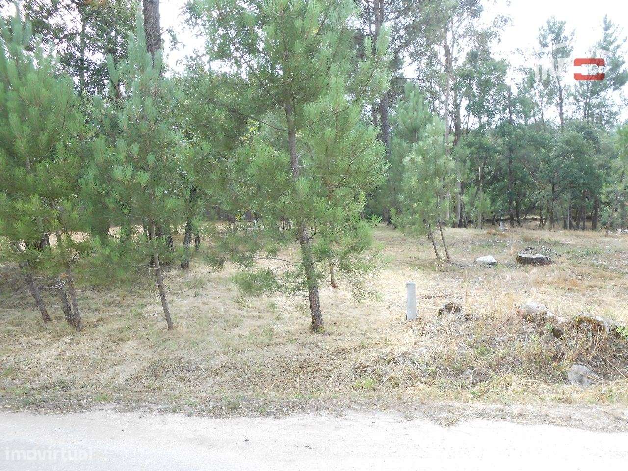 TERRENO PARA CONSTRUÇÃO COM 1640 M2 MUITO BOA LOCALIZAÇÃO BOUCEIROS... - Grande imagem: 4/15