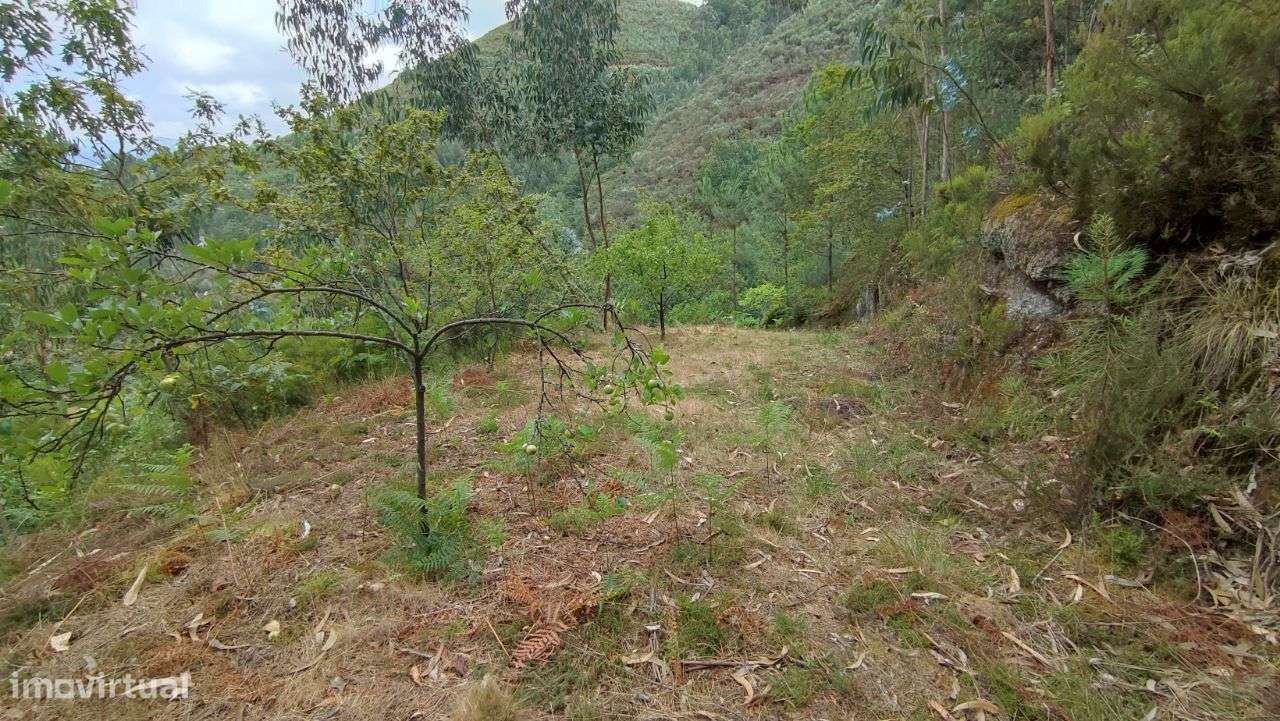 Terreno com ruina para restauro em Pandozes, Vieira do Minho - Grande imagem: 4/11