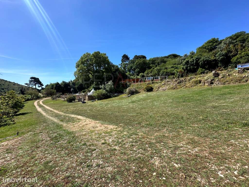 Quinta - Quintinha - Moradia-12