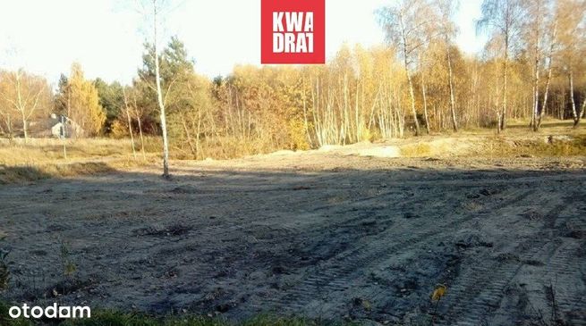 3000m2 działka rolna z warunkami zabudowy w okolic