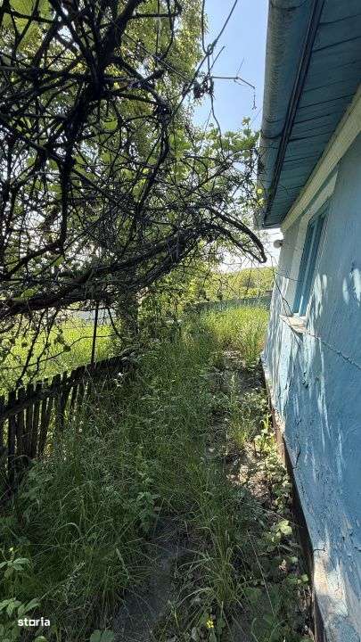 Teren cu parau si casa batraneasca, 25 min de Cluj, zona Boju/Cojocna-3