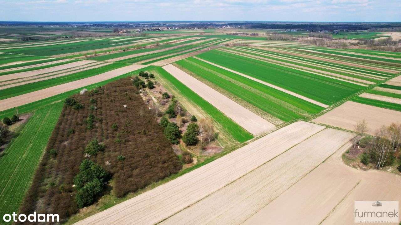 Działki rolne i leśne o powierzchni 1,13 ha - Pełny obrazek: 4/19