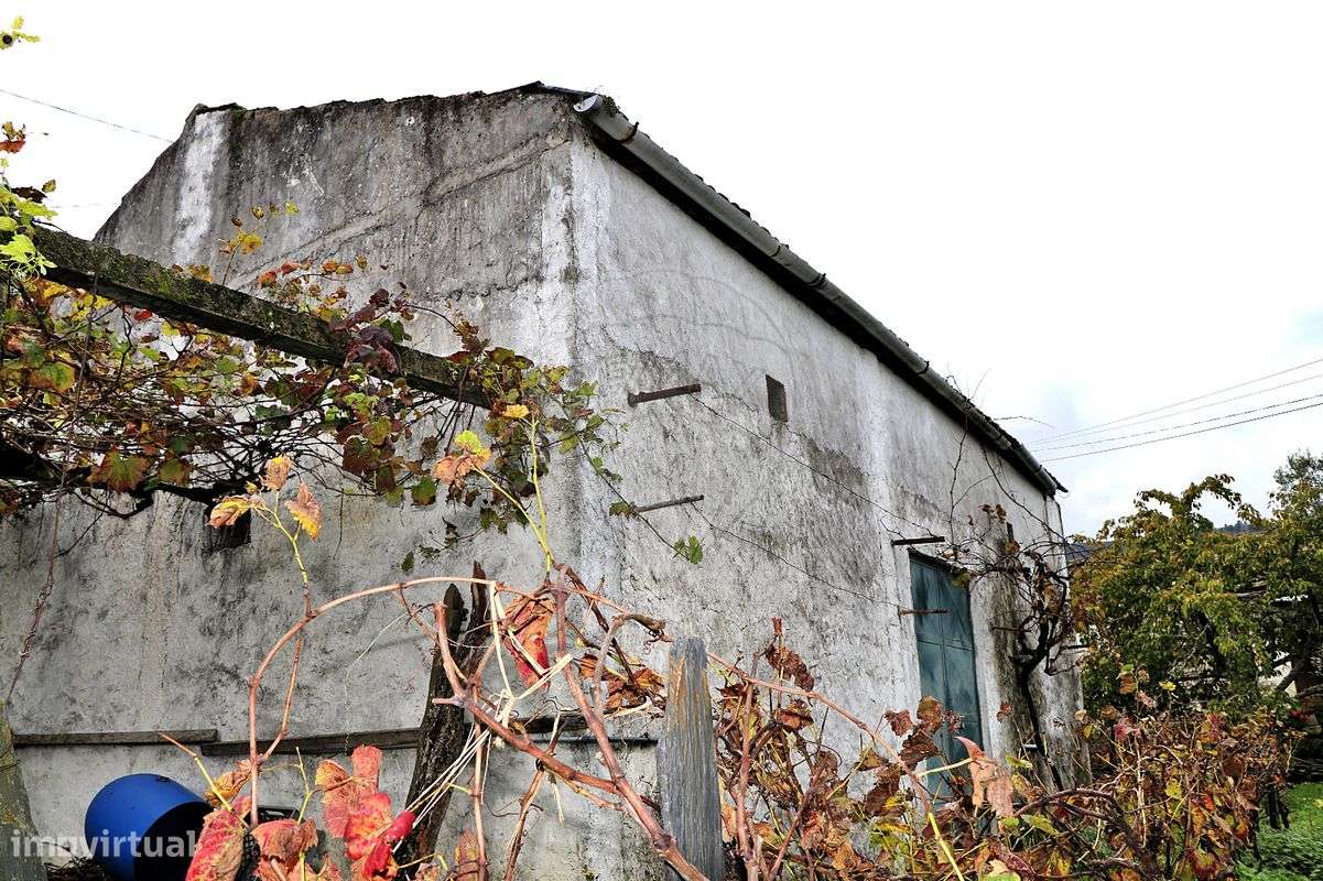 Quinta  para venda - Grande imagem: 2/24